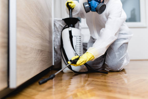Best Bed Bug Extermination  in Woodbridge, VA