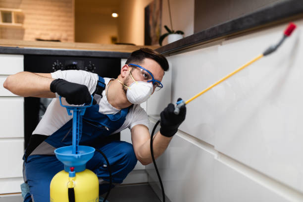 Best Termite Control Services  in Woodbridge, VA