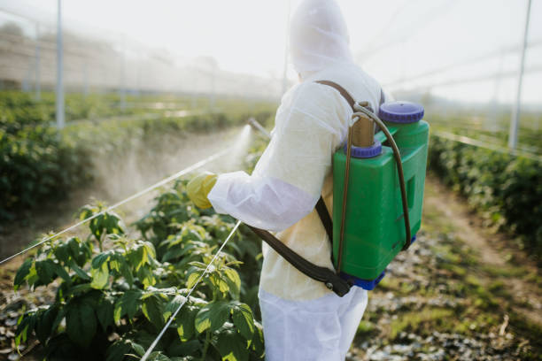 Trusted Woodbridge, VA Pest Control Experts